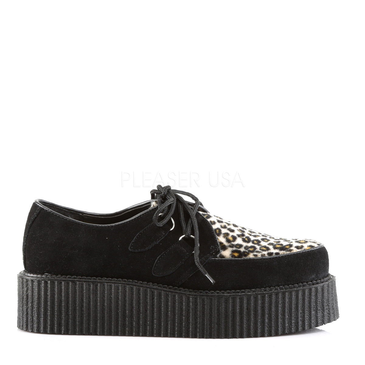 cheetah creepers