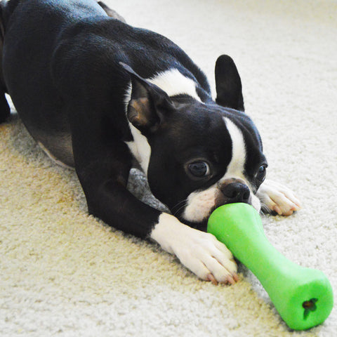 Chopper & Otis: Non-toxic dog toy brands