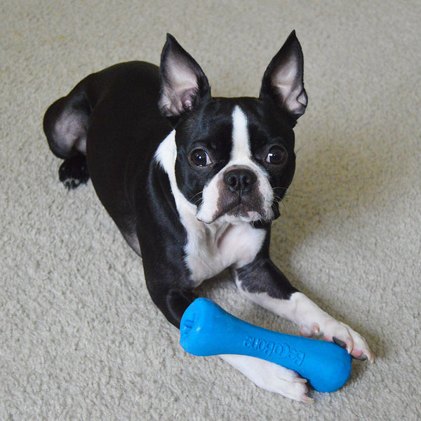 beco bone dog toy