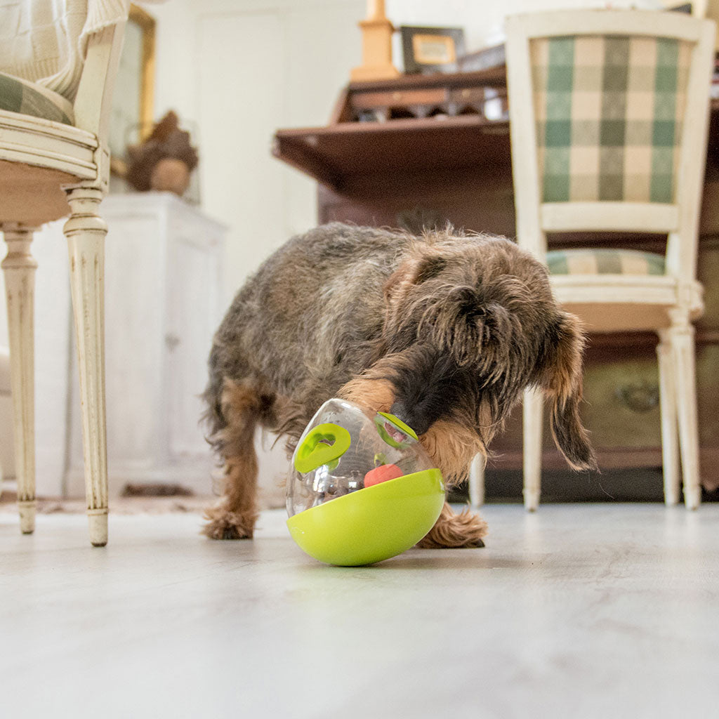 wobble ball dog toy