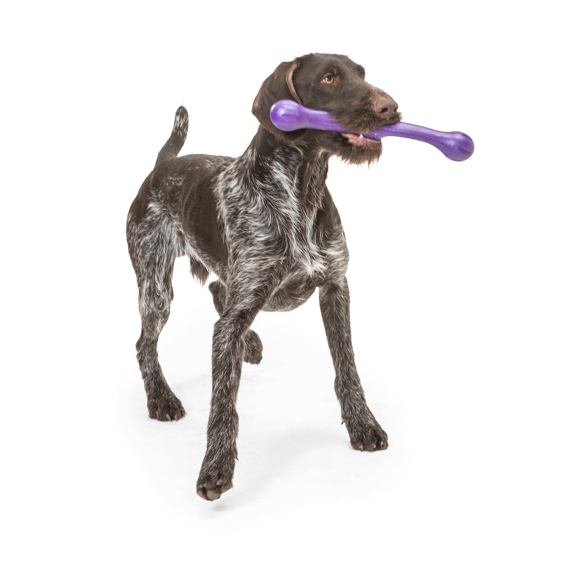 dog stick toy