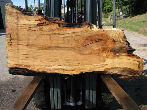 Live Edge Hardwood Slabs – Dueling Maples