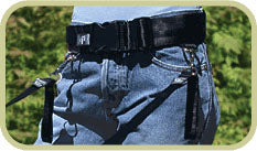 Hands Free Walking Belt