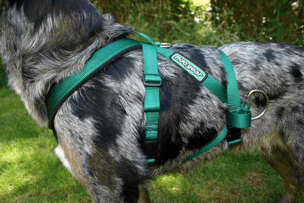 dog harness for pulling wagon