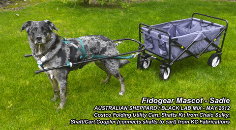 Dog Cart Harness