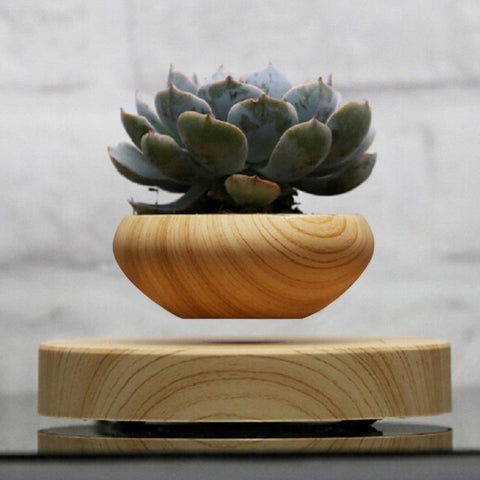 Best Magnetic Levitating Indoor Air Plant Pot