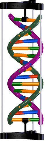 DNA-Desk-Model