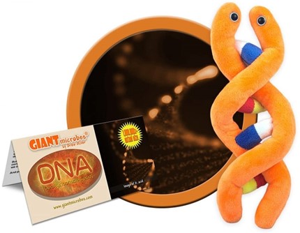 GIANTMicrobes-DNA-Plush