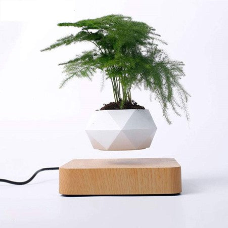 Levitating-Air-Bonsai-Pot