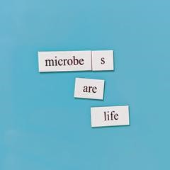 Microbiology-Word-Magnets-1