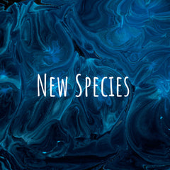 New-Species