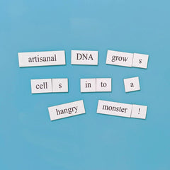 Science-Basics-Word-Magnets-1