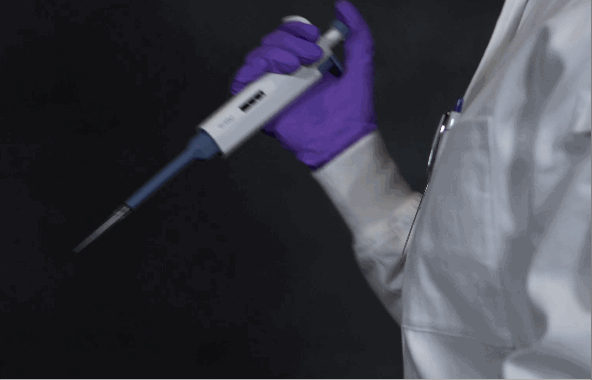 female scientist wearing lab coat with stretch knit cuffs and tapered forearms using pipette in microbiology lab