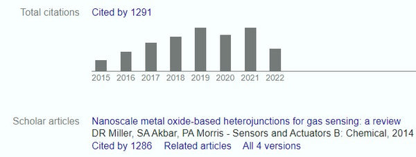 scientific literature review template