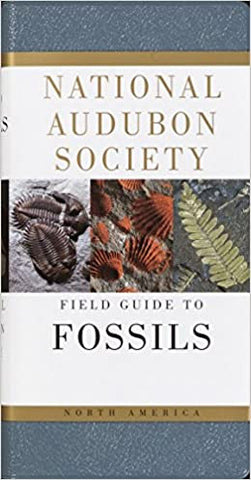 Field Guide to North American Fossil on Amazon