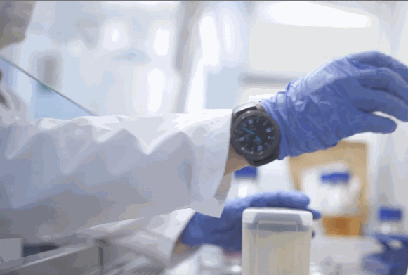 lab coat with open cuffs reaches for pipette in fume hood