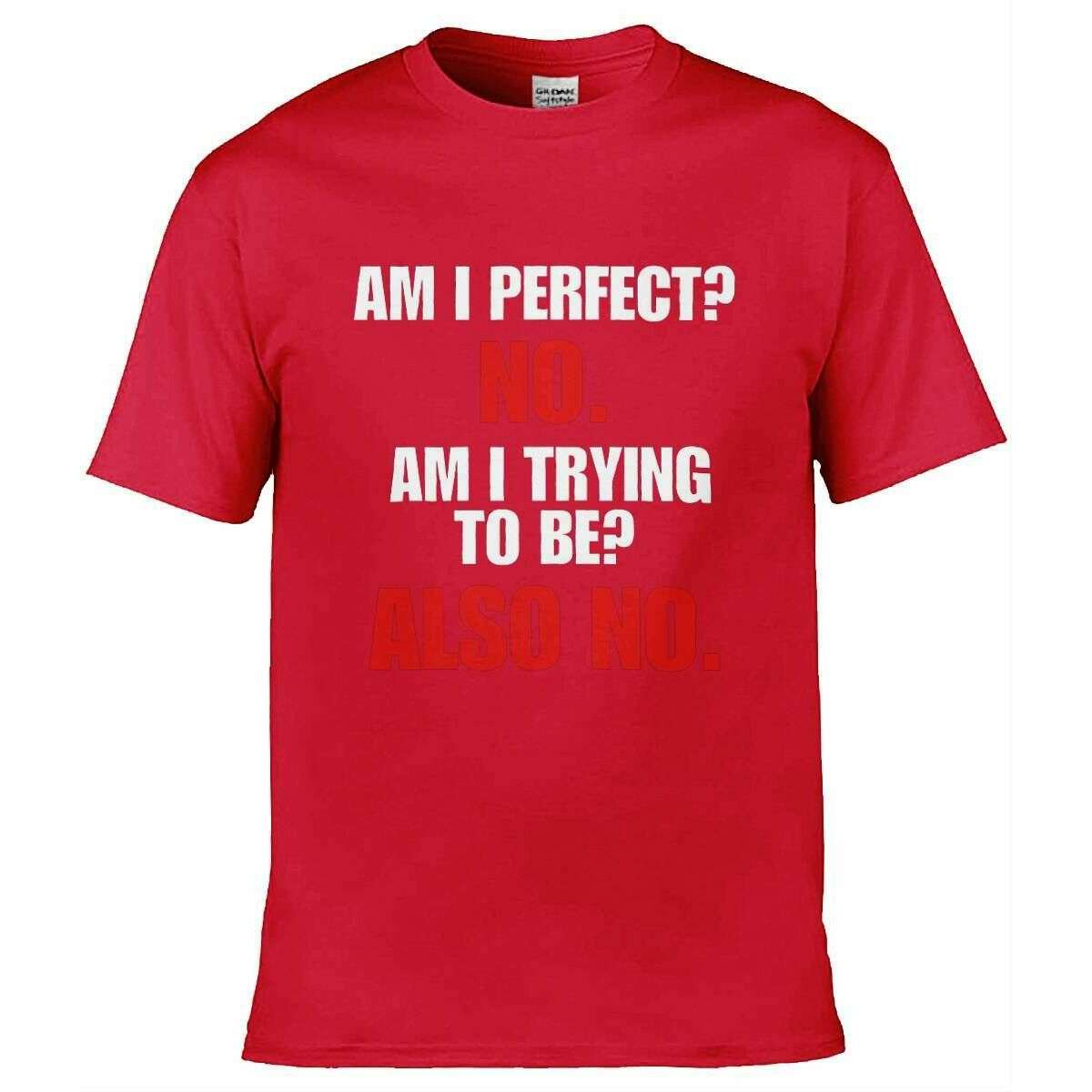 Teemarkable! Am I Perfect T-Shirt