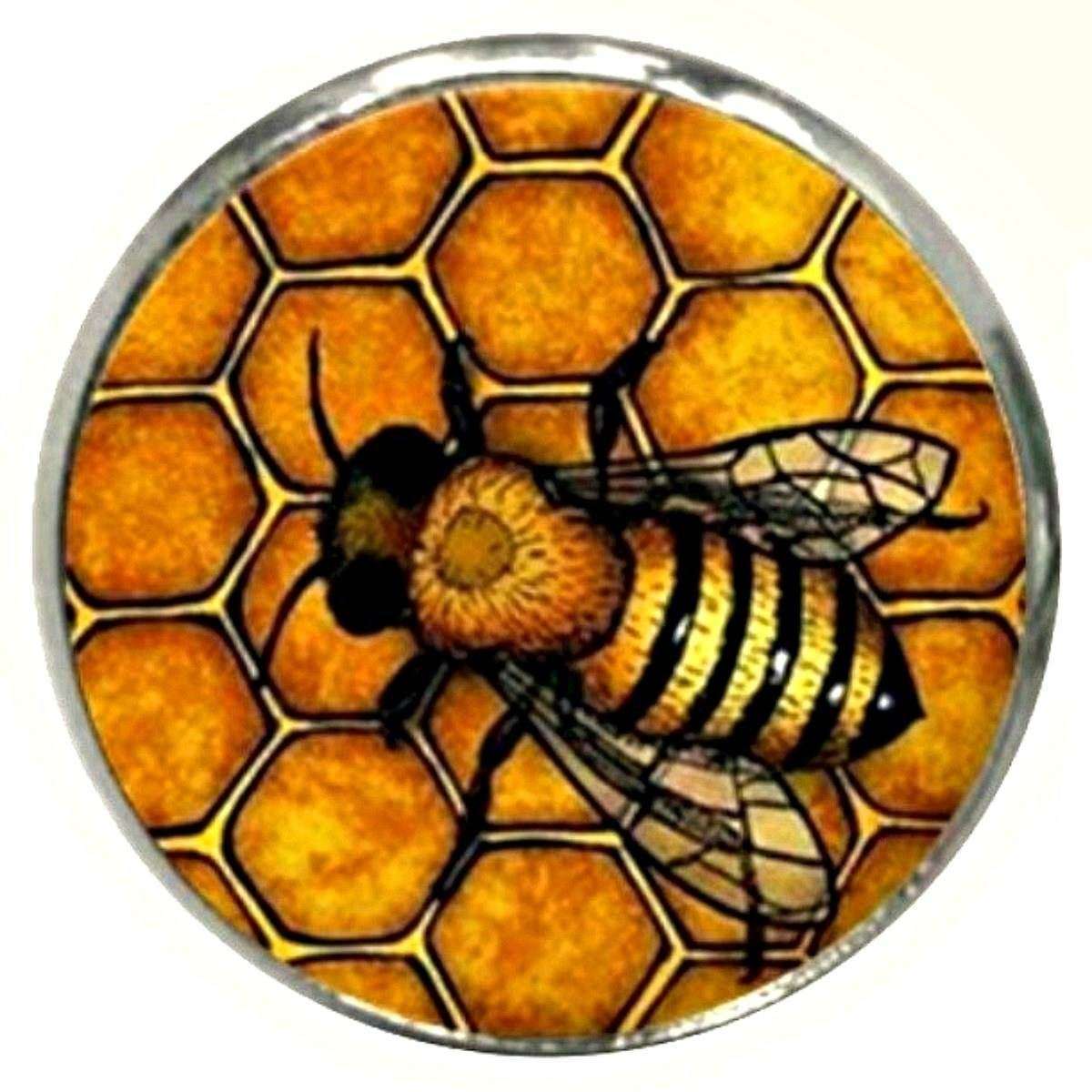 Bassin and Brown Bee and Honeycomb Lapel Pin - Black/Yellow