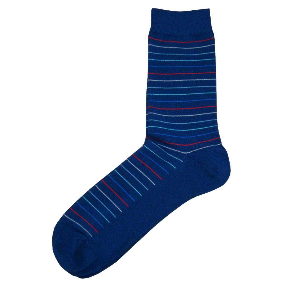 Bassin and Brown Horizontal Thin Stripe Socks - Navy/Multi-colour