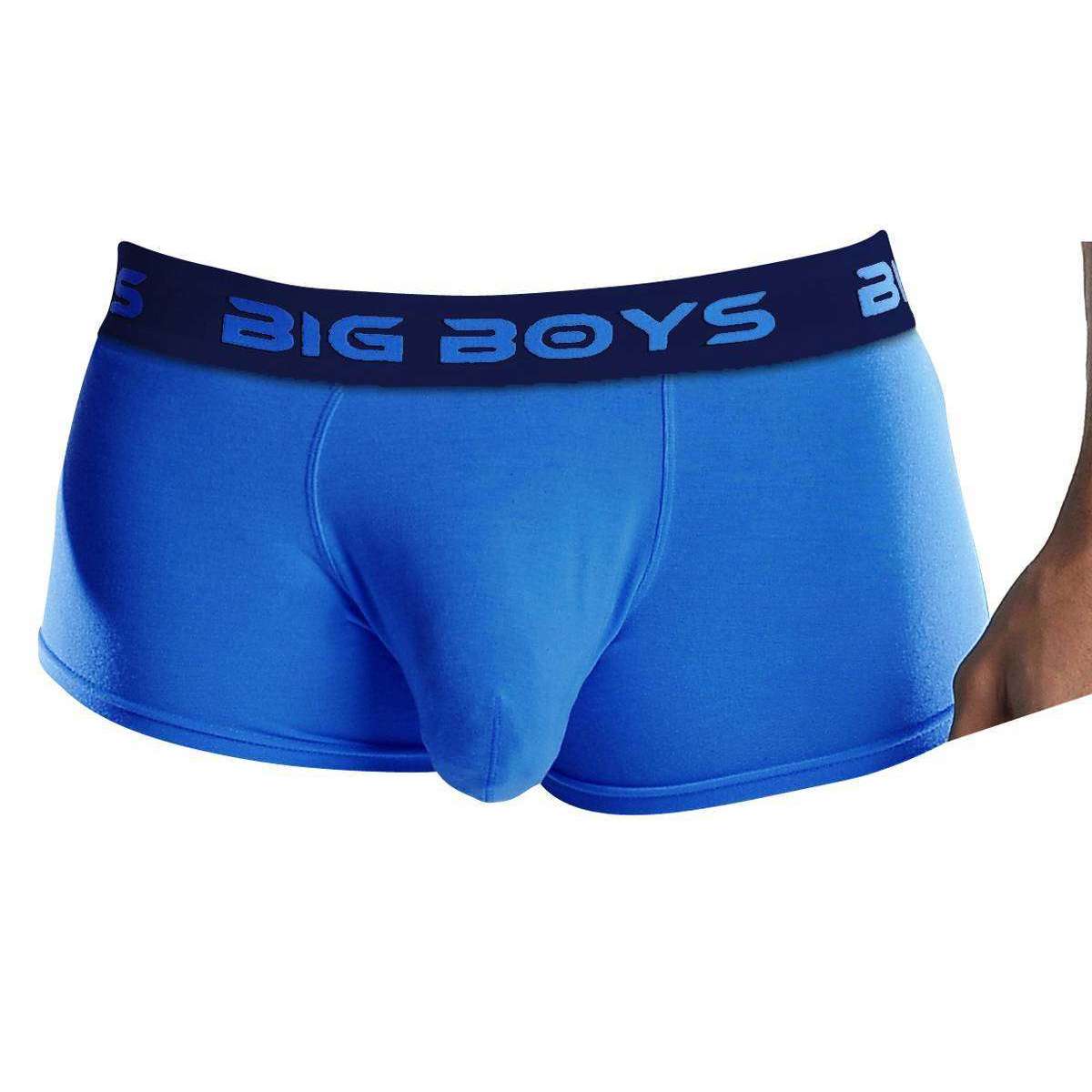 Big Boys Low Rise Briefs - Royal Blue