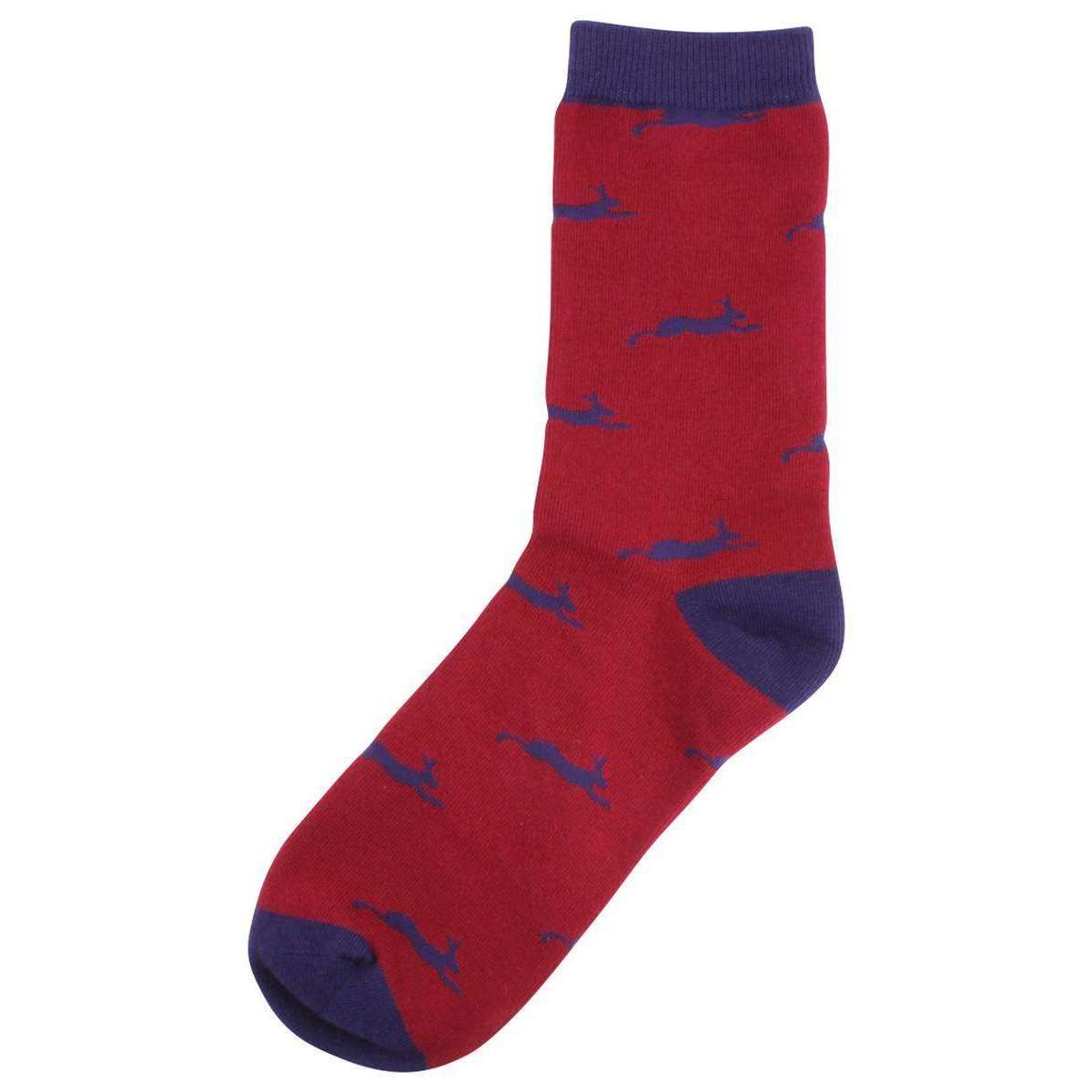 David Van Hagen Hare Socks - Red/Navy