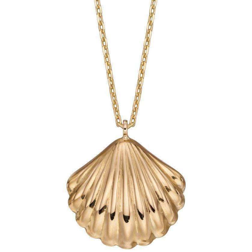 Elements Gold Shell Necklace - Yellow Gold