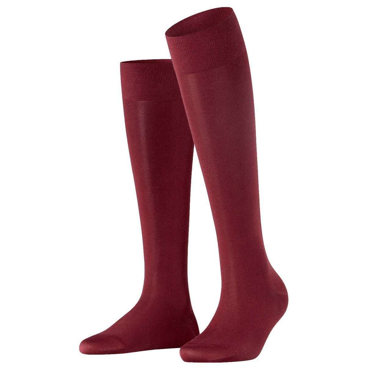 Falke Cotton Touch Knee-High Socks - Burgundy - Small/Medium - 2.5-5 UK | 4-7 US | 35-38 EUR