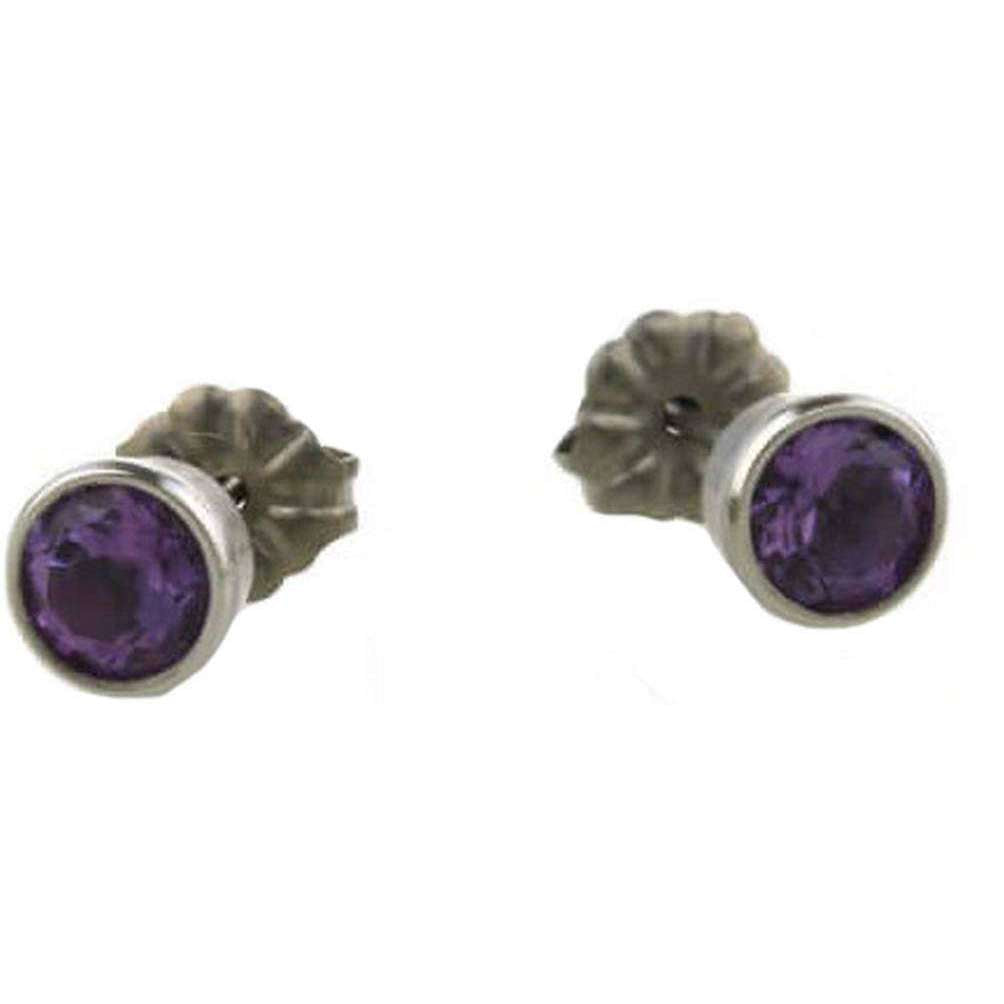 Ti2 Titanium Medium Gem Stone Stud Earrings - Purple