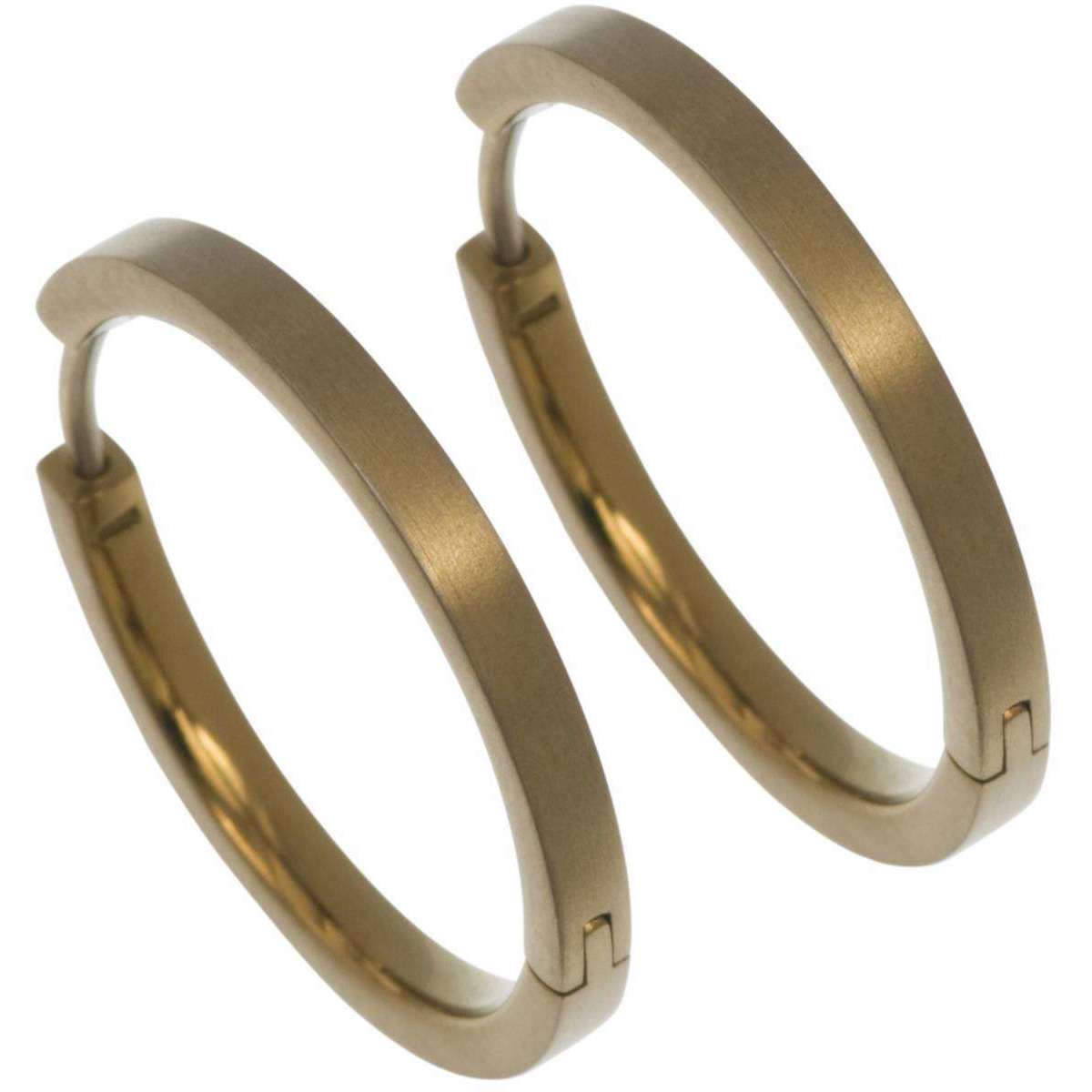 Ti2 Titanium Medium Hoop Earrings - Brown