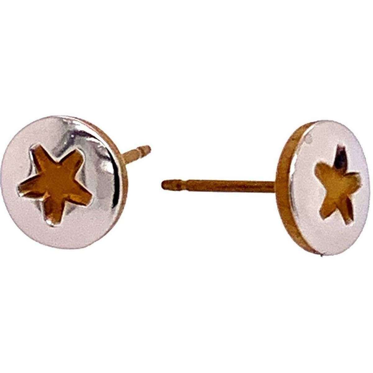 Ti2 Titanium Star Stud Earrings - Brown