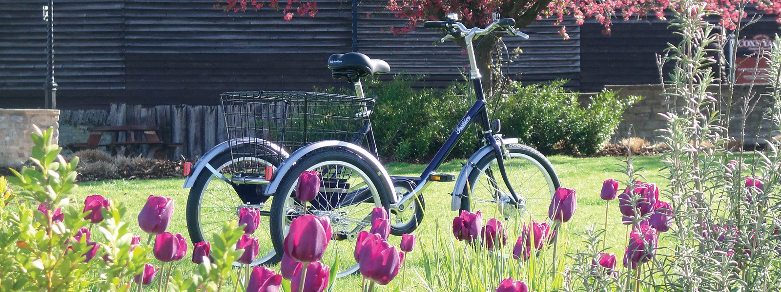 pashley bikes tricycles