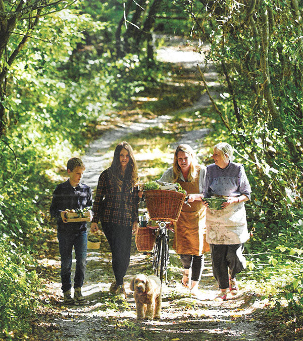 Family walking, with a vintage bike, along an avenue of trees in a forest after foraging for fruits.