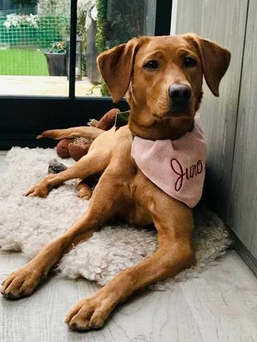 Pink tweed monogrammed dog bandana