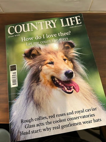 Country Life Magazine featuring collies
