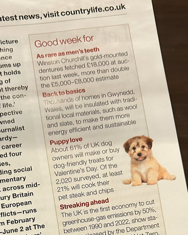 Country Life article about  buying Valentines Day gifts for pets.