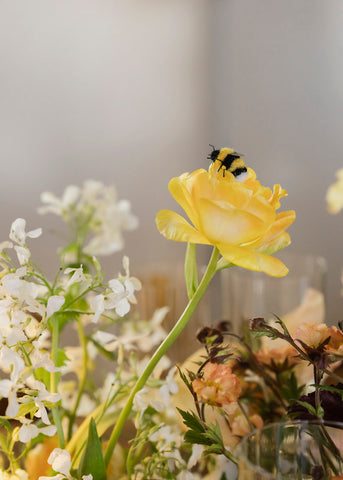 Floral arrangement with bee