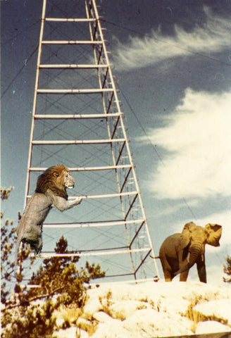 Lorne, the elephant, on Willisville Mountain