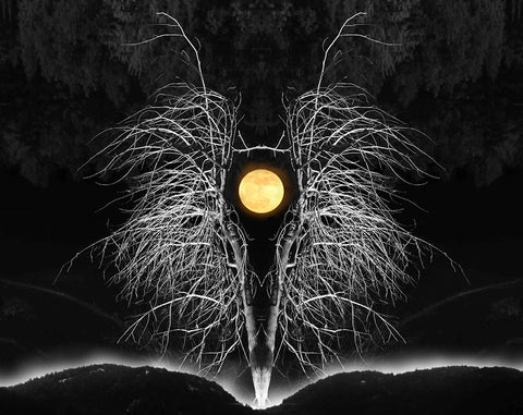 'Moon' a photomontage by Jon Butler.