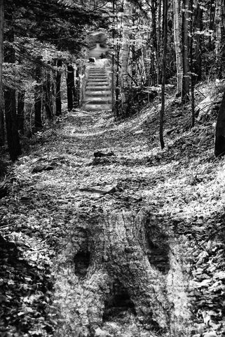 'Trail to Carmichael's Rock' a photomontage by Jon Butler.