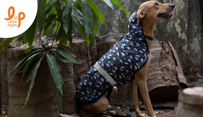 dog raincoats online