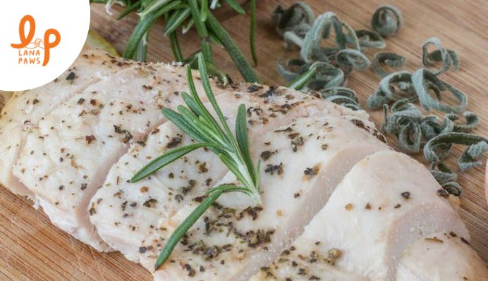 lean protein for health benefits for dogs