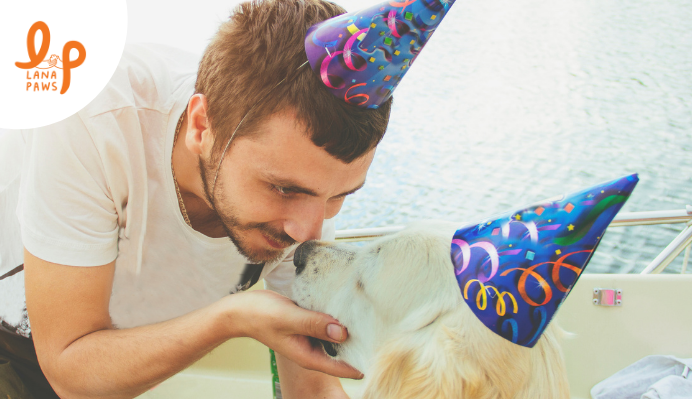 gift ideas for dog's birthday Lana Paws blog post