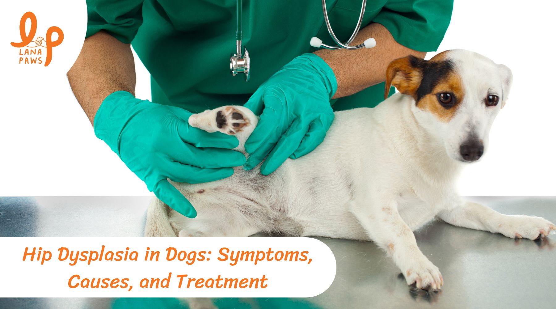 are dogs prone to hip dysplasia