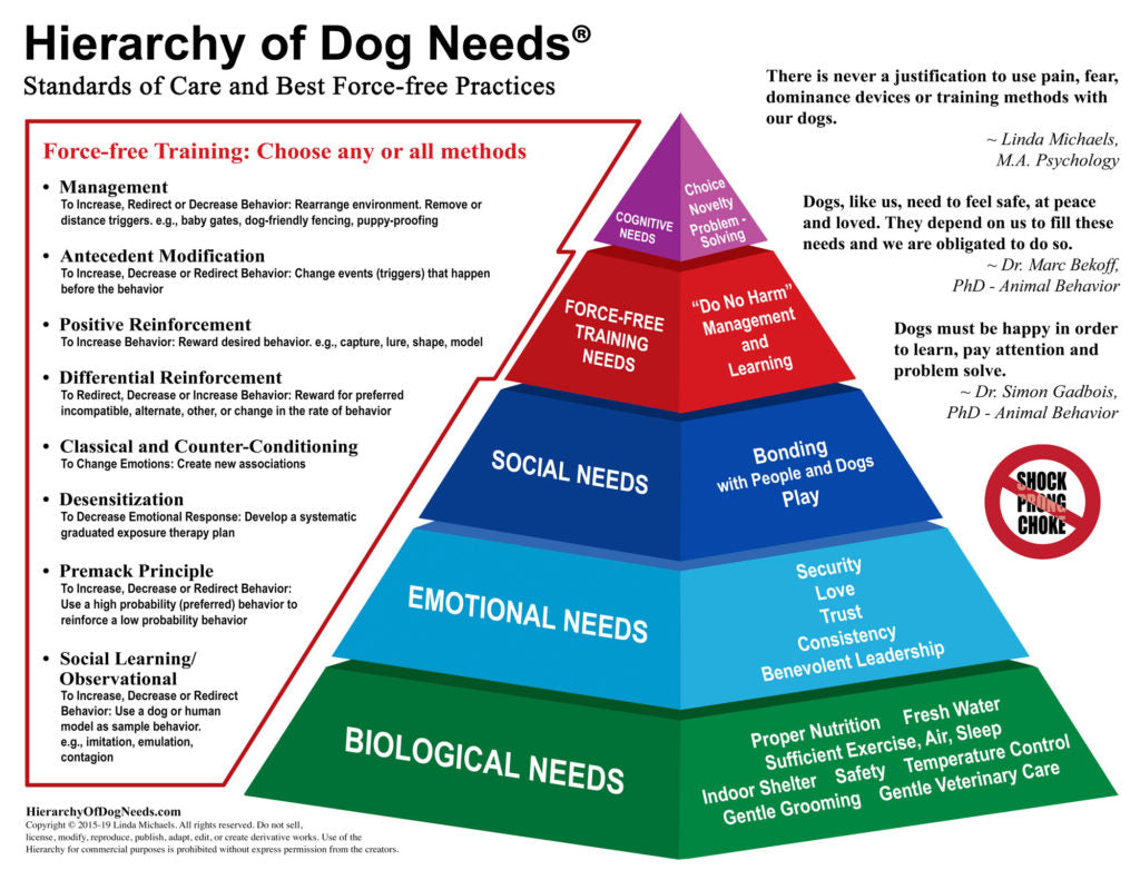 The Hierarchy of Dog Needs