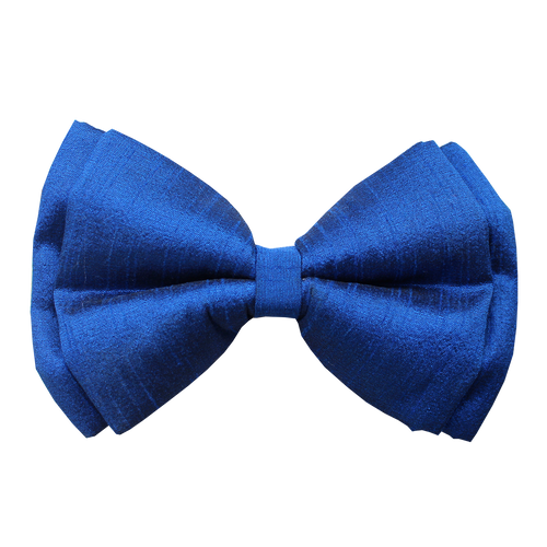 dog bow tie india