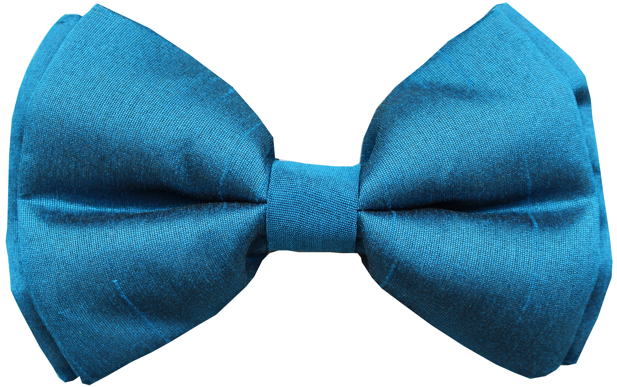 blue dog bow