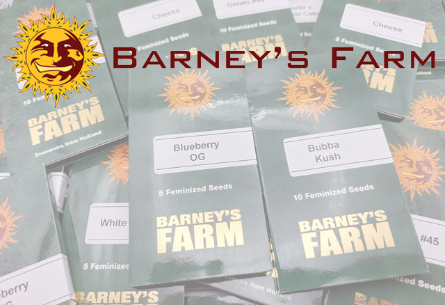 Buy Barney's Farm seeds Natural Selection Leeds