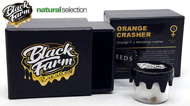 Black Farm Seeds Natural Selection Leeds