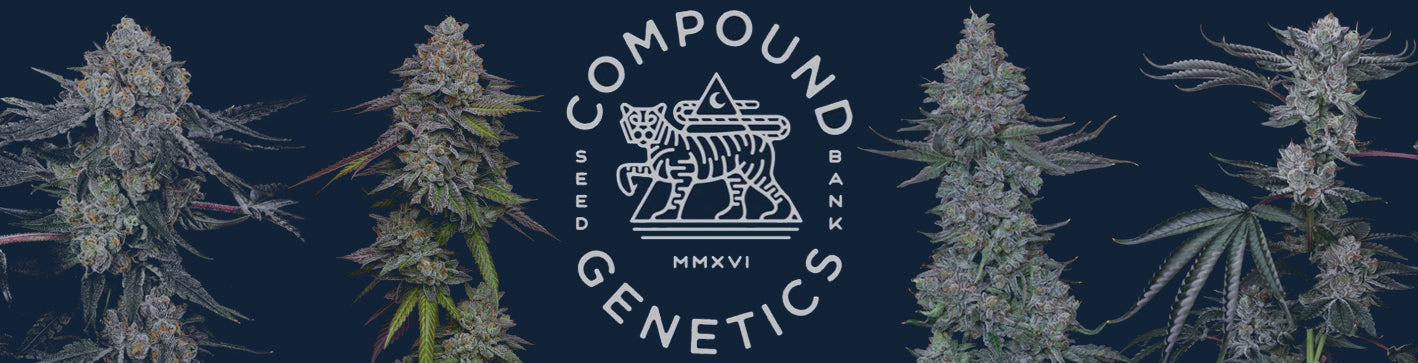 Compound Genetics Seeds
