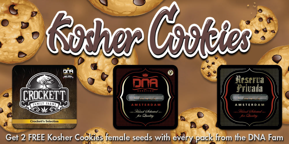 Free Kosher Cookies DNA Genetics seeds